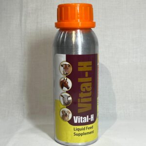 Vital-H